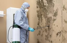 Best Air Quality Testing for Mold Spores  in Butler, NJ